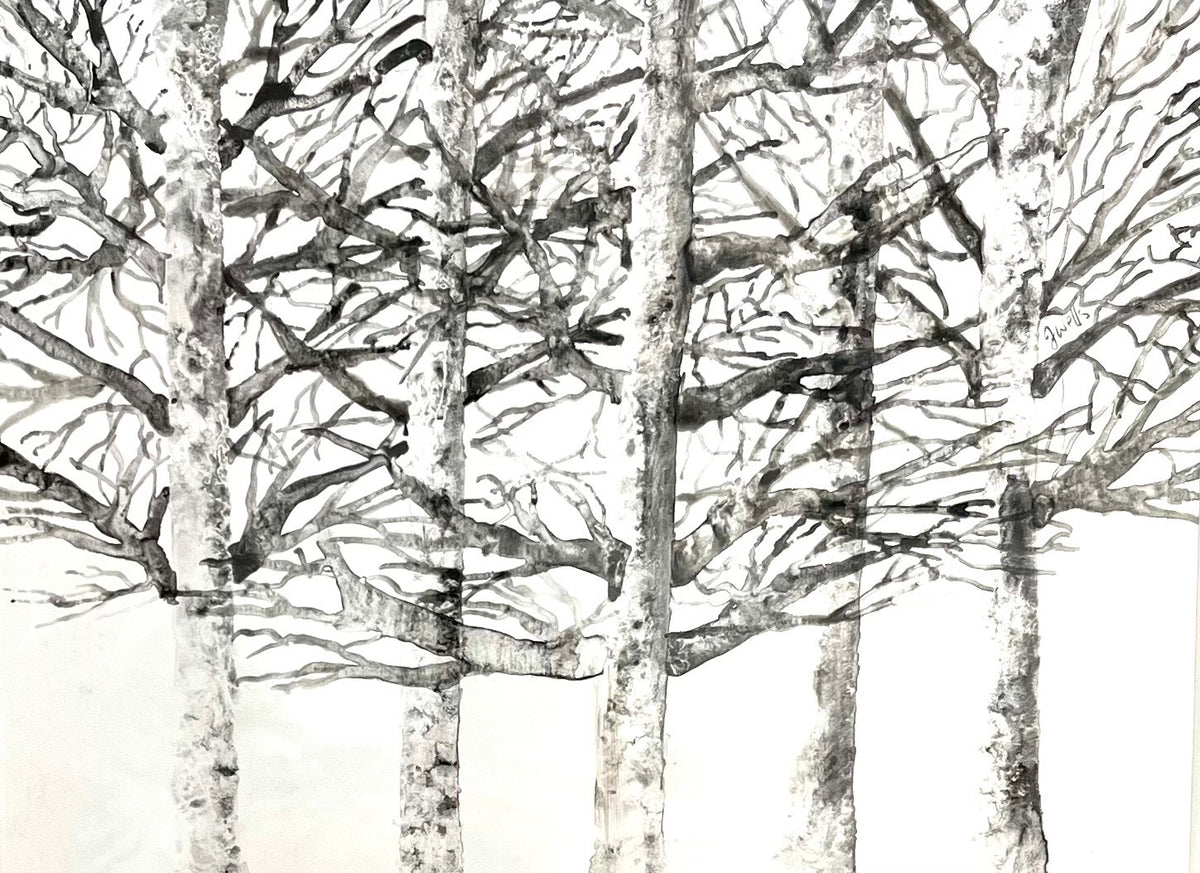 Silver Birches