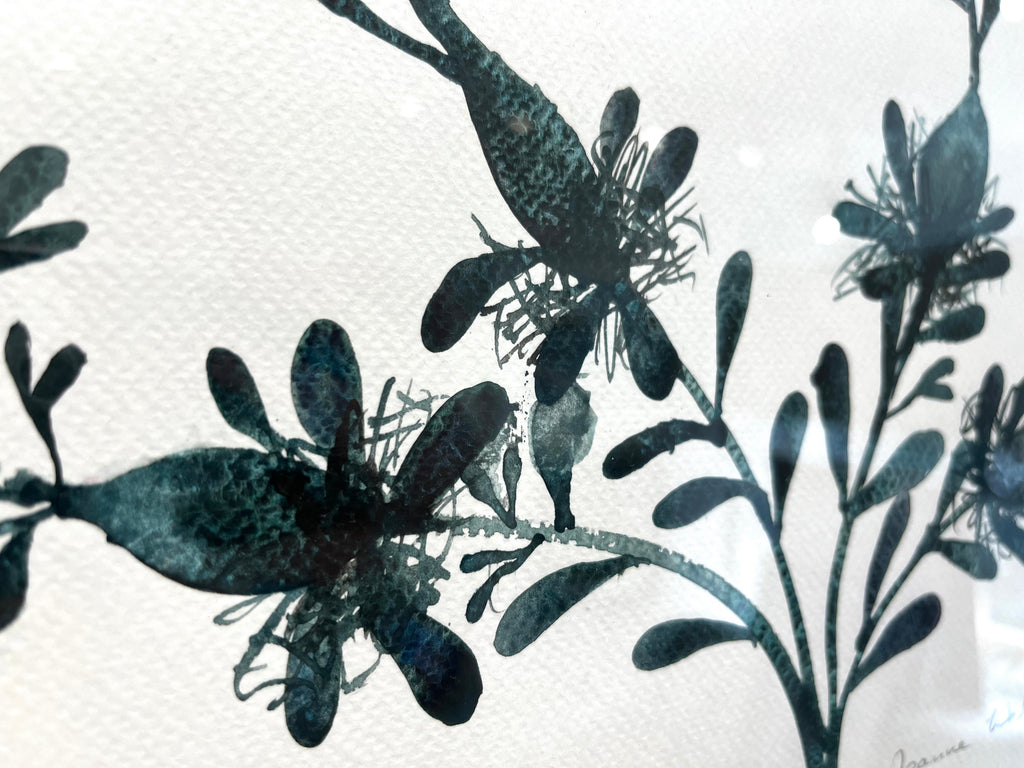 Bladderwrack seaweed