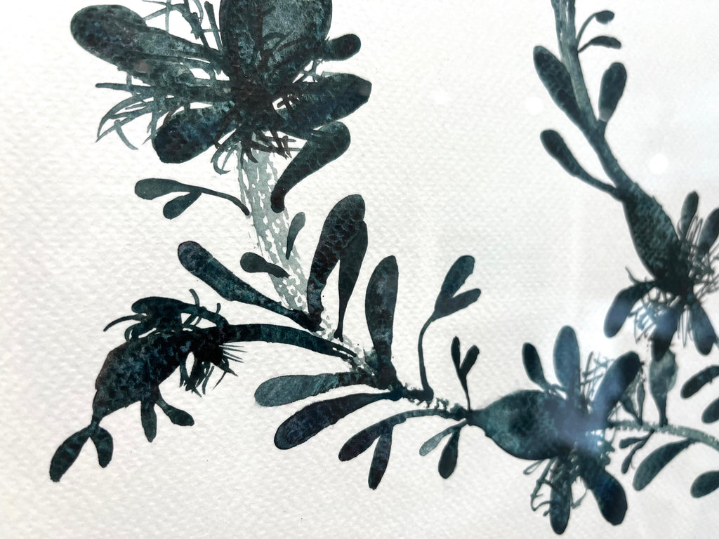 Bladderwrack seaweed