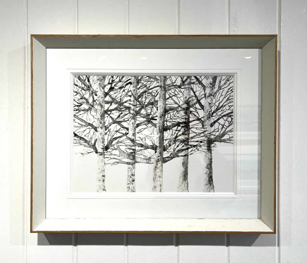 Silver Birches