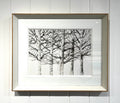 Silver Birches