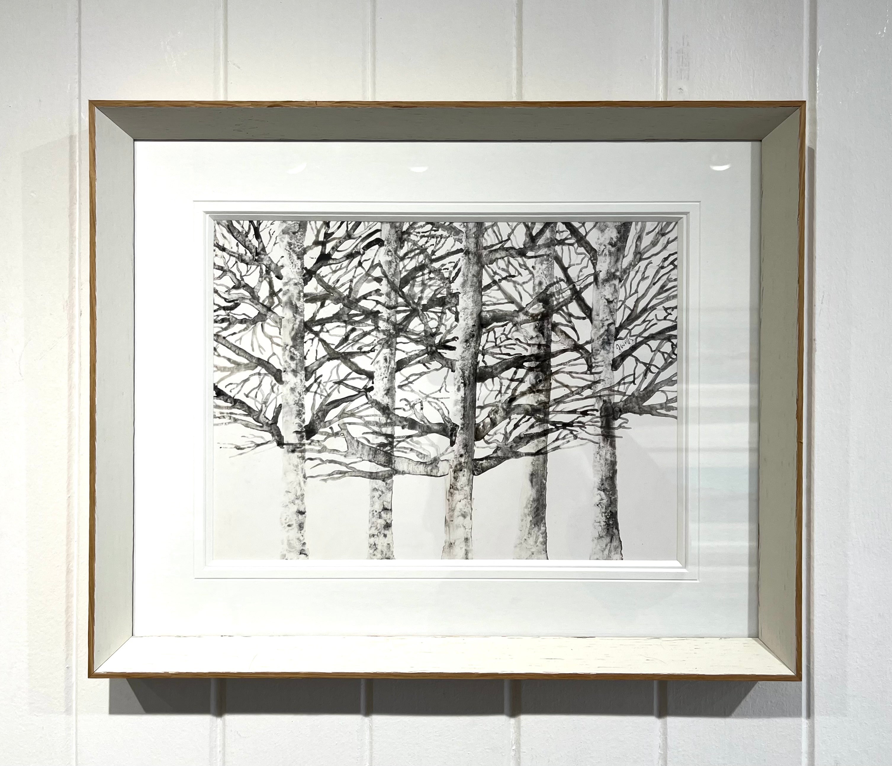 Silver Birches